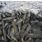 An Island Story – in the footsteps of J.M. Synge