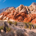 Leaving Las Vegas: Off the Strip at Red Rock Resort