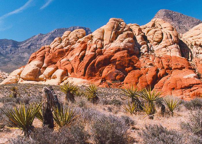 Leaving Las Vegas: Off the Strip at Red Rock Resort