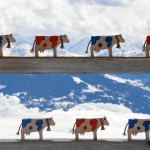 Reaching New Heights: Ovation Trophy 2013 – Zurich – Crans Montana