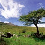 The Best Place to Holiday in Ireland