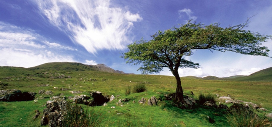 The Best Place to Holiday in Ireland