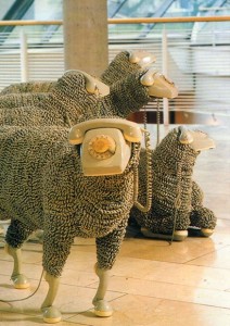 Cornec's Sheep