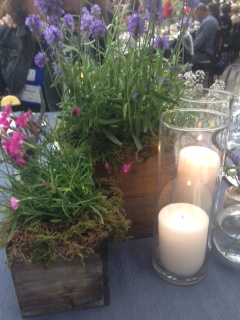 St Regis (5)