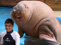 He's behind you