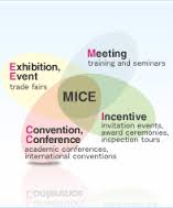 MICE 3