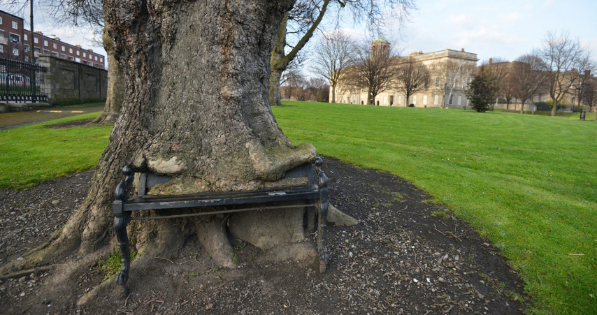 Dublin – more roads less travelled