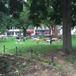 Washington DC – where to stay, go and eat