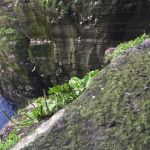 How Skellig Michael evokes the brutality of travel