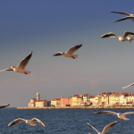 Destination Marketing – it’s really about the people