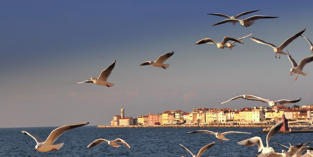 Destination Marketing – it’s really about the people