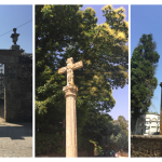The Camino to Santiago: Experience & Meaning