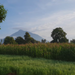 SITE Executive Summit discovers Rwanda is “incentive-ready”