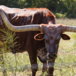 The DMC sector in 2019 – a new value proposition?