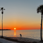 Back in St Pete, Florida – 40+ years later