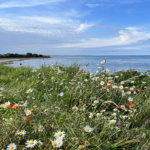 Do U.S. incentive planners care enough about sustainability?