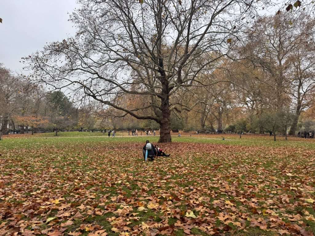 Ambling Around London on a Saturday in Mid-November