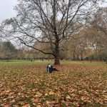Ambling Around London on a Saturday in Mid-November