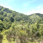 Why Istria belongs on the Incentive map